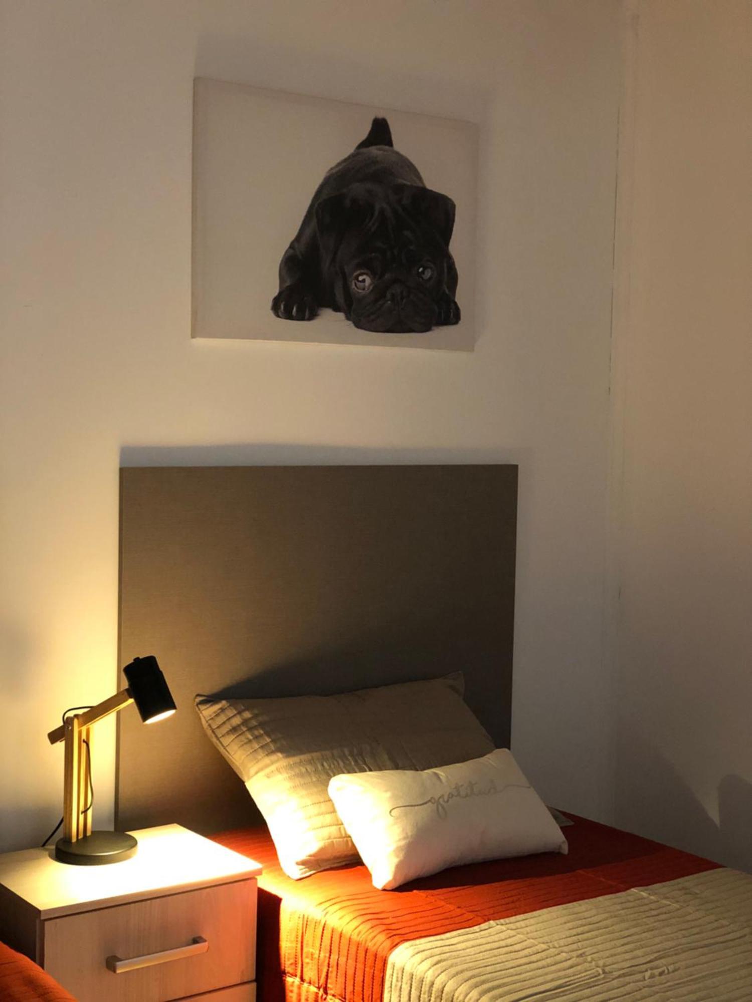 Mz Intimo Dpto 2 Apartman Ushuaia Kültér fotó